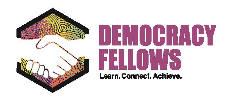 Become a 2017 Democracy Fellow