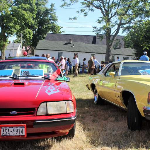 "Land Trust, Not Land Rush!"