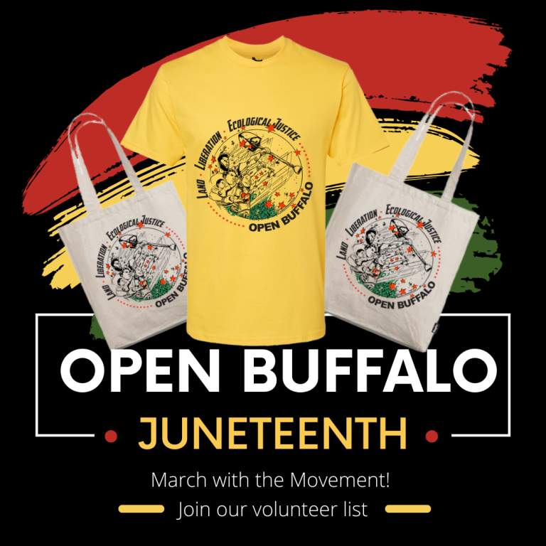 Join us for the Parade! Open Buffalo Buffalo, NY