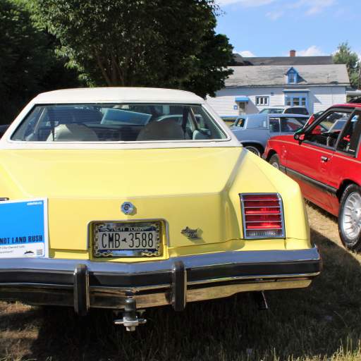 "Land Trust, Not Land Rush!"