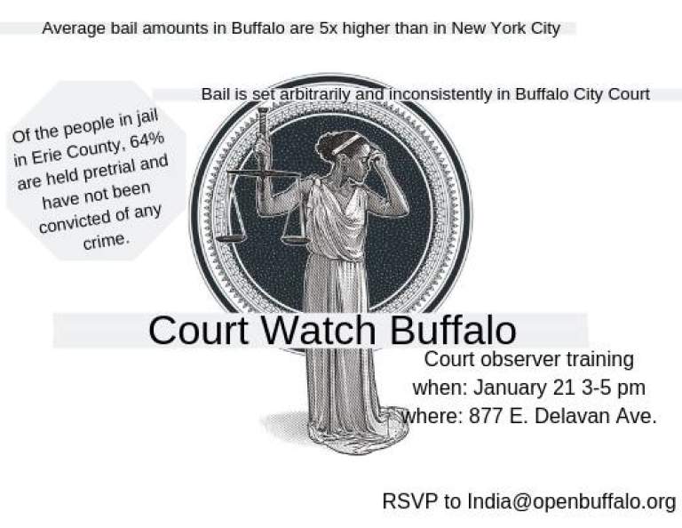 Court Watch Buffalo: Training Session