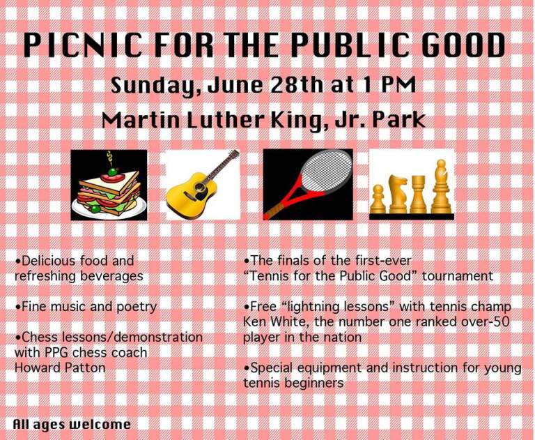 Picnic for the Public Good