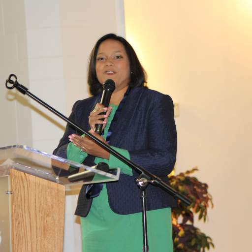 Nicole Lee speaks about human rights, policing, and her experiences on the ground in Ferguson, MO, and Baltimore, MD.